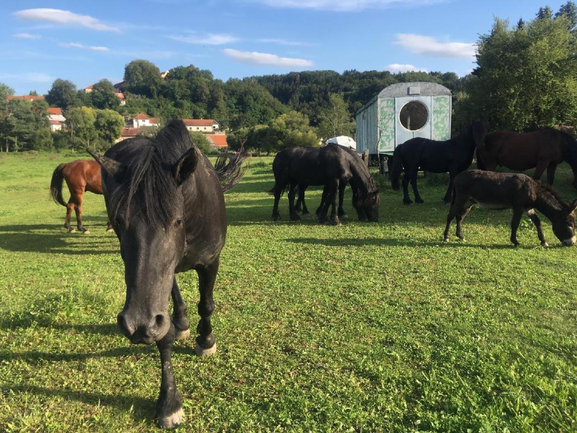 Glamping - Stylova Maringotka V Srdci Ladova Kraje, Pobliz Hlavniho Mesta Prahy Stribrna Skalice Екстер'єр фото