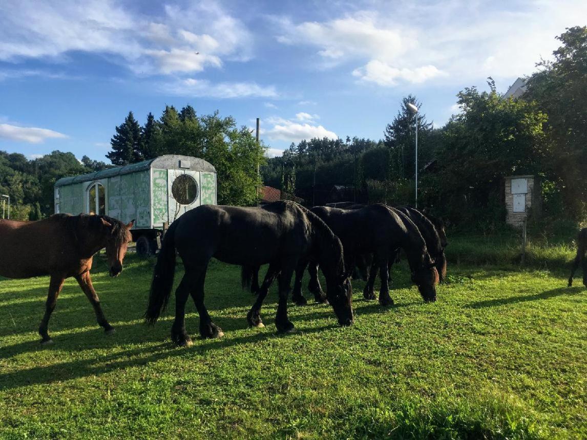 Glamping - Stylova Maringotka V Srdci Ladova Kraje, Pobliz Hlavniho Mesta Prahy Stribrna Skalice Екстер'єр фото