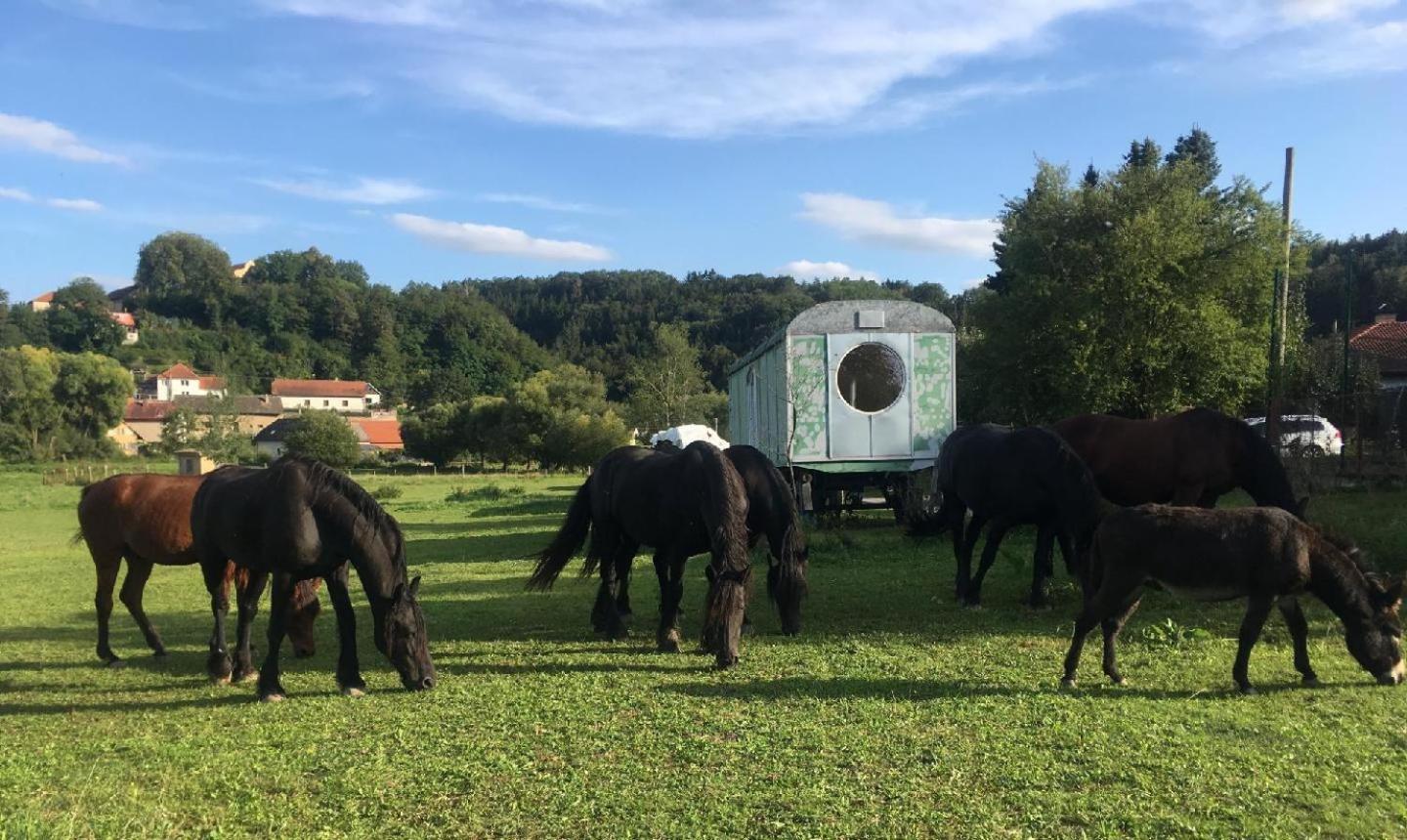 Glamping - Stylova Maringotka V Srdci Ladova Kraje, Pobliz Hlavniho Mesta Prahy Stribrna Skalice Екстер'єр фото